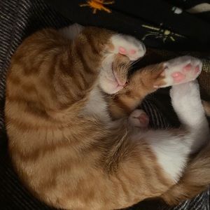 Meet your Posher, Jane